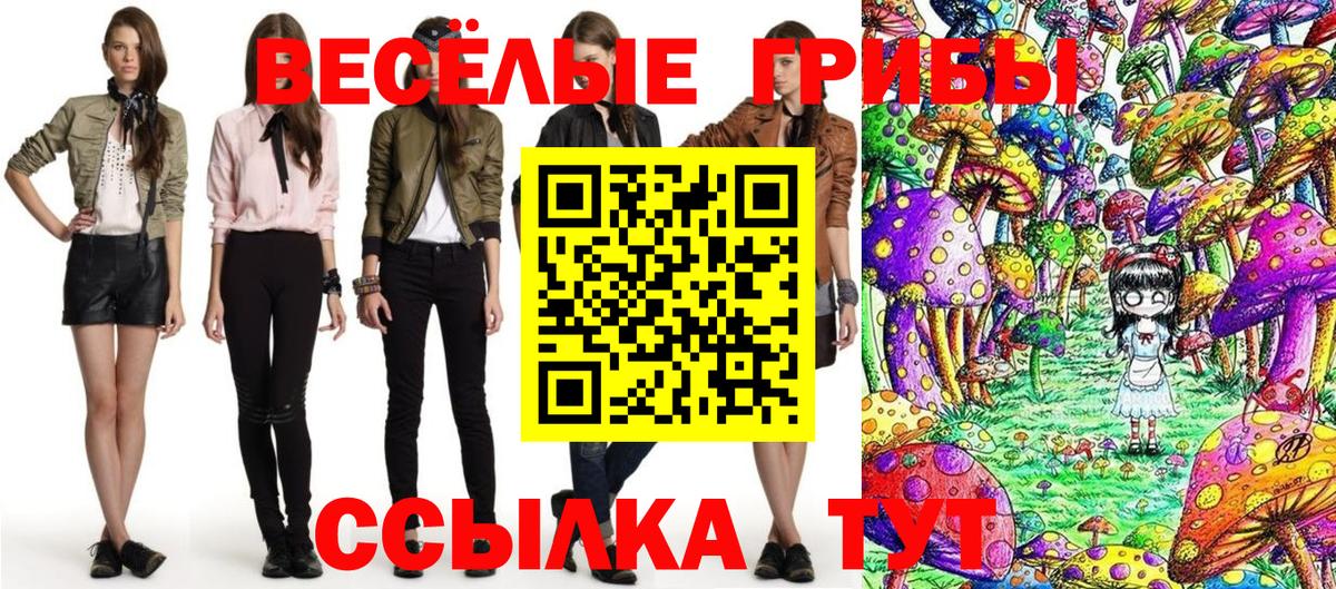 Галлюциногенные грибы Psilocybine cubensis  Вход с VPN  Чехов 